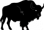 d-buffalo1-o.jpg (50729 bytes)