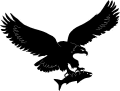 d-eagle1-o.jpg (15867 bytes)